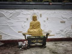 -大金鹰园