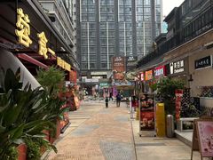 -合景·悠方(成都店)