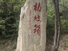 -河北省园博园