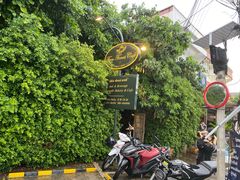 -Fern Forest Cafe