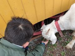 -前小桔亲子创意农场·草莓采摘·露营烧烤