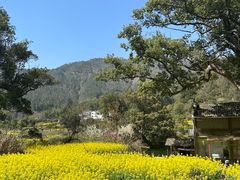 -上坦村