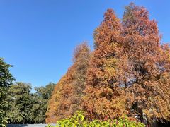 -华南国家植物园-售票处