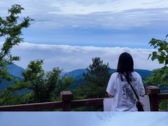 -武陵山森林公园