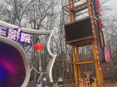 -枫花园汽车电影院(朝阳公园店)