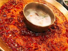 -杨家火锅(国美店)