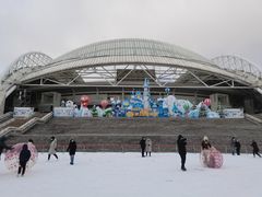 -沈阳奥体冰雪嘉年华