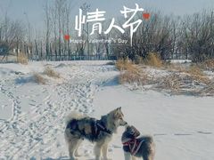 -哈尔滨大剧院