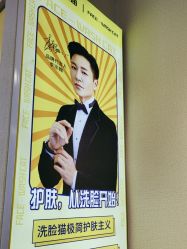 -洗脸猫·洗脸吧