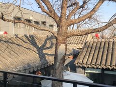 -SUSU·苏苏(四合院创始店)