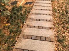 -索拉古贝(义乌北苑店)