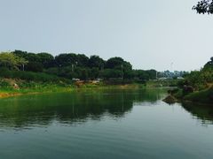 -松山湖南湖湾露营营地