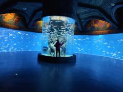 -波塞冬旅游度假区