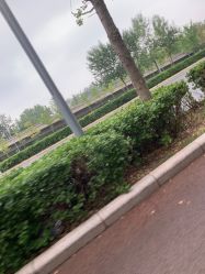 -HEYAN长风荷妍专业脱毛美肤
