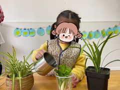 -四叶草托育园(张江园店)