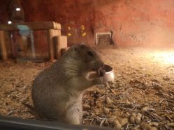 点击看大图 -酷嗒动物文化乐园(cutezoo西溪乐天城店)