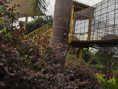 -美的鹭湖探索王国