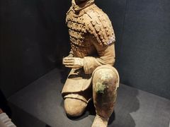 -陕西历史博物馆