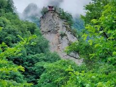-黑河国家森林公园