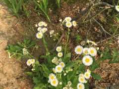 -瑶湖郊野森林公园