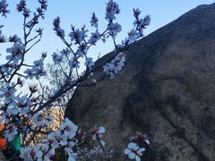 -北京凤凰岭