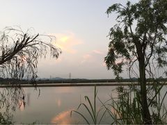 红树林海鲜餐厅-崖口红树林海鲜餐厅