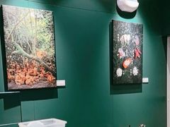 -烹然四季椰子鸡火锅(姚家园万象汇店)
