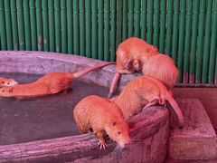 -杭州野生动物世界