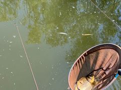 -酷鱼垂钓CLUB(朝阳区博大路店 )