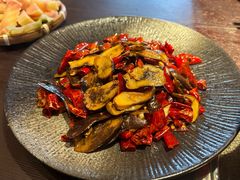 爆炒见手青-芸鲜季·云南野生菌餐厅· 云南风物味研社(闵行店)