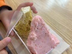 山楂冰淇淋-野人先生Gelato(上海长宁龙之梦店)
