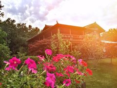 -合肥滨湖国家森林公园