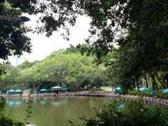 -人民公园(罗湖区)