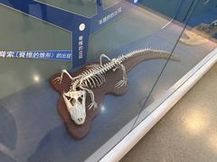 -国家自然博物馆