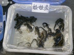 -清平路水族市场