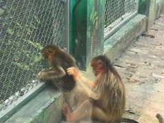 -西安秦岭野生动物园