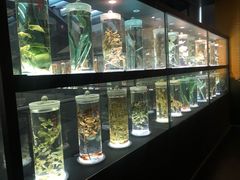 -广东中医药博物馆