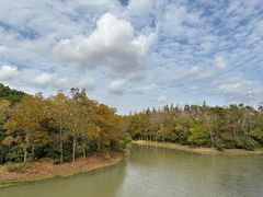 -上海海湾国家森林公园