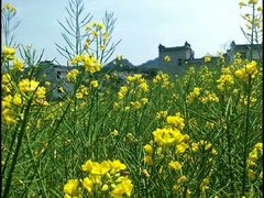 -新安江山水画廊风景区