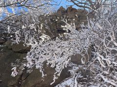 -崂山巨峰游览区