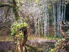 景点-广东温泉宾馆