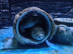 -厦门海底世界