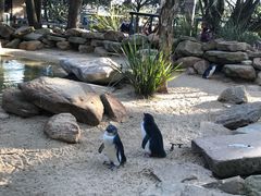 -费瑟代尔野生动物园