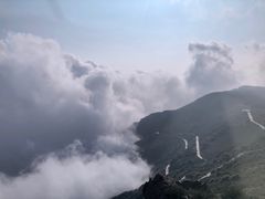 -白草畔自然风景区