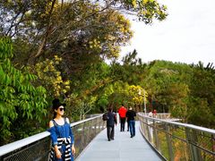 -仙岳公园
