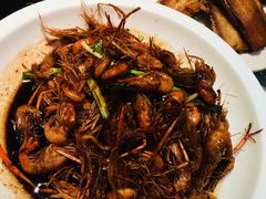 -老头儿油爆虾(星光一期店)