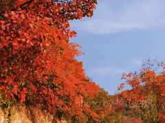 -终南山国家森林公园