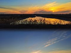 -天津东丽湖风景区