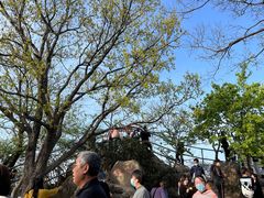 -紫金山山顶公园