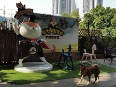 -柴犬高等学院·狗咖·柴犬售卖·宠物训练